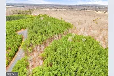 Dragoon Road, Culpeper, VA 22701 - Photo 23