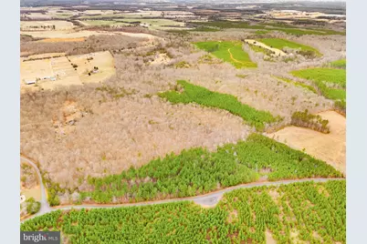 Dragoon Road, Culpeper, VA 22701 - Photo 7