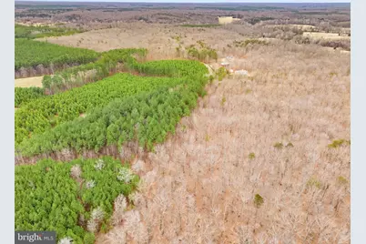 Sams Ridge, Culpeper, VA 22701 - Photo 15