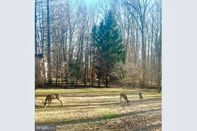 15420 Bob White Trail, Amissville, VA 20106 - Photo 3