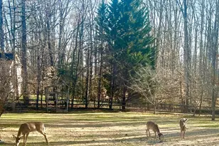 15420 Bob White Trail, Amissville, VA 20106 - Photo 3