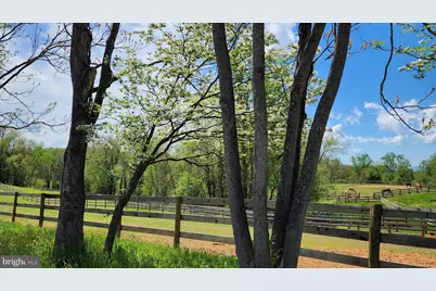 6478 Laurel Hill Lane, Rixeyville, VA 22737 - Photo 45