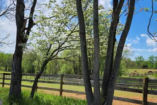 6478 Laurel Hill Ln, Rixeyville, VA 22737 - Photo 45