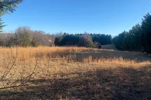 Woodward Ln, Rixeyville, VA 22737 - Photo 1