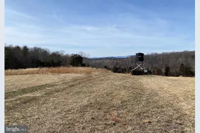 Kirtley Trail, Culpeper, VA 22701 - Photo 5