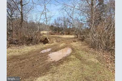 Kirtley Trail, Culpeper, VA 22701 - Photo 7