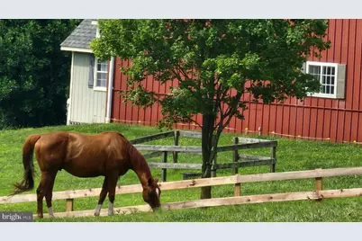 6478 Laurel Hill Lane, Rixeyville, VA 22737 - Photo 49