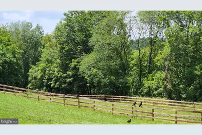 6478 Laurel Hill Lane, Rixeyville, VA 22737 - Photo 47