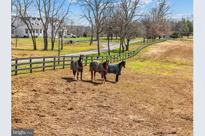 6478 Laurel Hill Lane, Rixeyville, VA 22737 - Photo 43