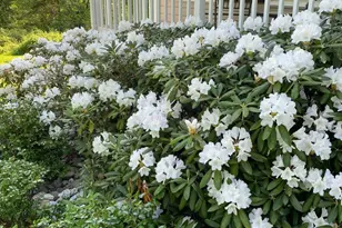 8056 Griffinsburg Rd, Boston, VA 22713 - Photo 111