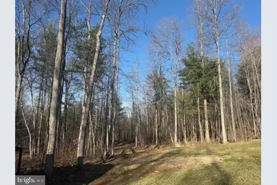 10137 Lake Crest Place, Culpeper, VA 22701 - Photo 19