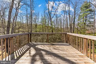 21270 Walkers Ln, Richardsville, VA 22736 - Photo 53