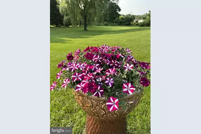 19272 Windsong Court, Culpeper, VA 22701 - Photo 7