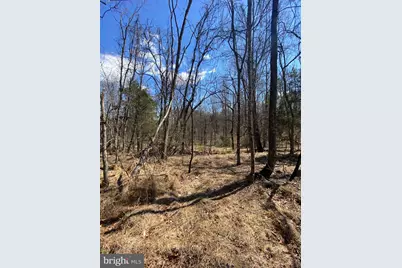 8424 Kilby Road, Culpeper, VA 22701 - Photo 9