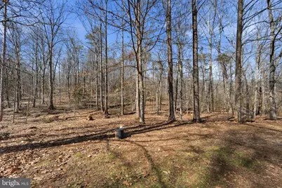 6052 Bilal Court, Jeffersonton, VA 22724 - Photo 39