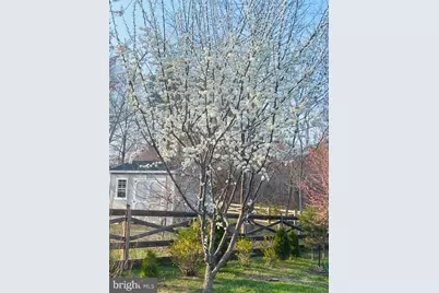 14220 Belle Avenue, Culpeper, VA 22701 - Photo 15