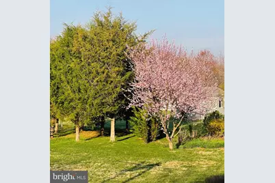 14220 Belle Avenue, Culpeper, VA 22701 - Photo 13