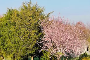 14220 Belle Ave, Culpeper, VA 22701 - Photo 13