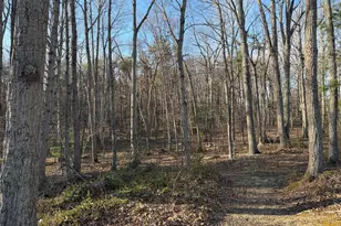 Woodland Church Rd, Culpeper, VA 22701 - Photo 1