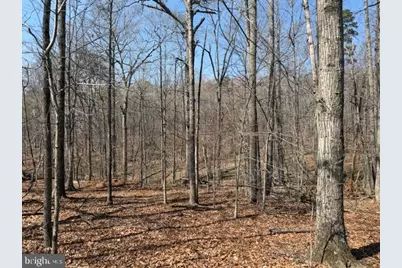 Countryside Lane - Lot 3, Lignum, VA 22726 - Photo 1