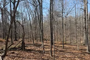 Countryside Ln - Lot 4, Lignum, VA 22726 - Photo 1