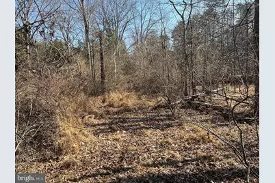 18491 Clayhill Road, Stevensburg, VA 22741 - Photo 3