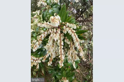 802 S Blue Ridge Avenue, Culpeper, VA 22701 - Photo 85