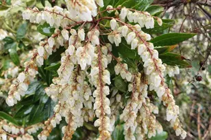 802 S Blue Ridge Ave, Culpeper, VA 22701 - Photo 85