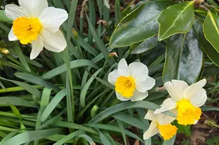 802 S Blue Ridge Ave, Culpeper, VA 22701 - Photo 93