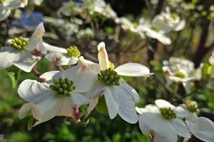 802 S Blue Ridge Ave, Culpeper, VA 22701 - Photo 91