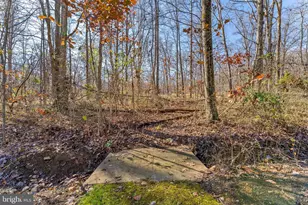 19388 Manor Dr, Culpeper, VA 22701 - Photo 63