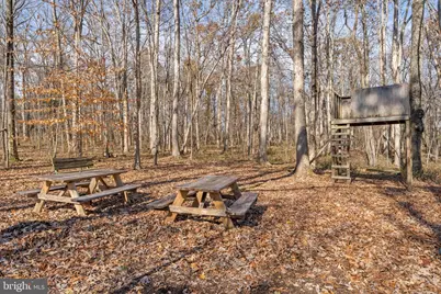 19388 Manor Drive, Culpeper, VA 22701 - Photo 69