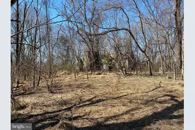 Kirtley Residue Lot, Culpeper, VA 22701 - Photo 17