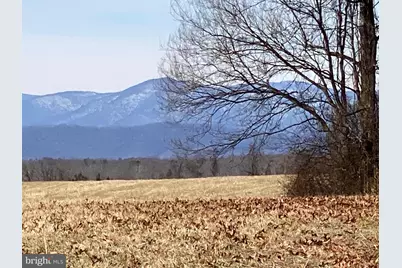 Kirtley Trail- Lot 1, Culpeper, VA 22701 - Photo 11