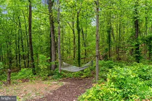 19106 Loggers Rd, Culpeper, VA 22701 - Photo 3