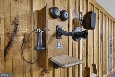 11194 Homeland Rd, Rixeyville, VA 22737 - Photo 87