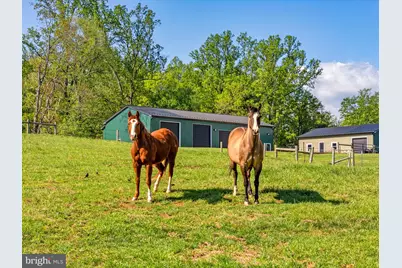 11194 Homeland Rd, Rixeyville, VA 22737 - Photo 149