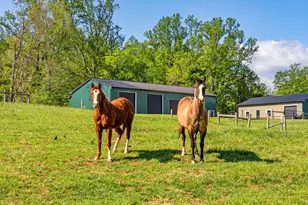 11194 Homeland Rd, Rixeyville, VA 22737 - Photo 149