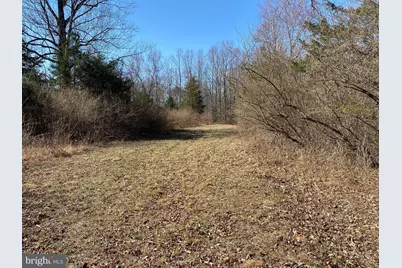 00 Whites Farm Lane #8, Culpeper, VA 22701 - Photo 5