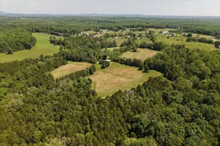 4266 Indian Run Rd, Amissville, VA 20106 - Photo 13