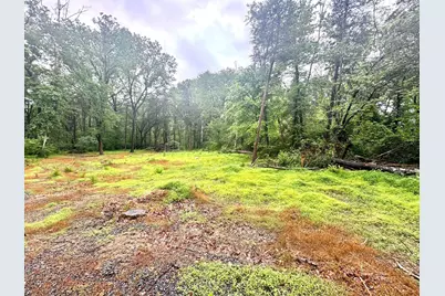 Slaughters Mill Road, Mitchells, VA 22729 - Photo 5