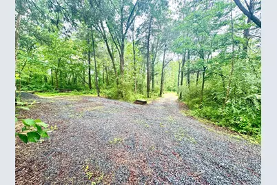 Slaughters Mill Road, Mitchells, VA 22729 - Photo 3