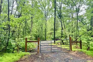 Slaughters Mill Rd, Mitchells, VA 22729 - Photo 1