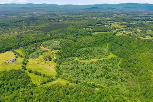 15371 Sheads Mountain Rd, Rixeyville, VA 22737 - Photo 41