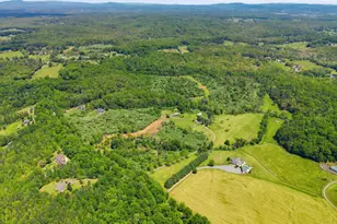 15371 Sheads Mountain Rd, Rixeyville, VA 22737 - Photo 39