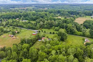 12350 Lindann Ln, Culpeper, VA 22701 - Photo 55