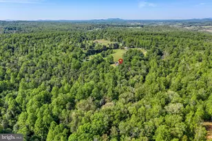 10461 Old Stillhouse Rd, Boston, VA 22713 - Photo 23