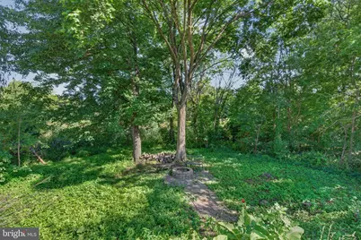15610 Great Bridge, Culpeper, VA 22701 - Photo 49