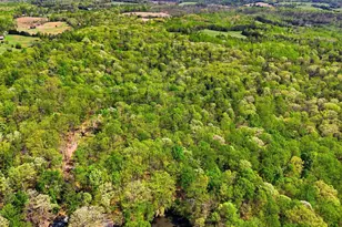 Lot 1 Obannons Mill Rd, Boston, VA 22713 - Photo 47