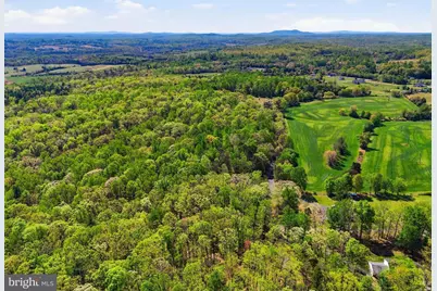 Lot 1 Obannons Mill Road, Boston, VA 22713 - Photo 45